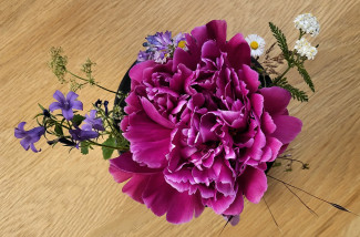 Ein Gesteck mit einer Pfingstrose umd Wiesenblumen.