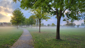 Herbstlicher Nebel an der Altmühl