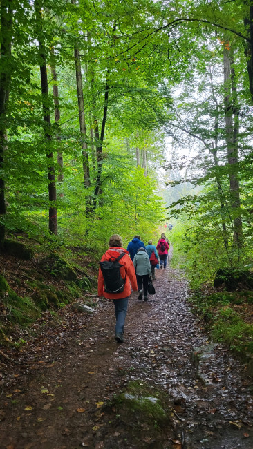 Wandergruppe auf einem Waldweg im Spessart.